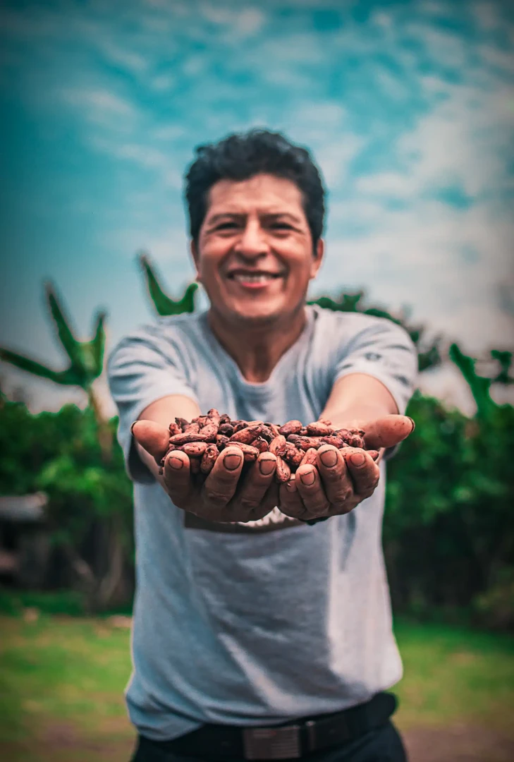 Cooperativas comercializarán 40 toneladas de cacao a La Ibérica