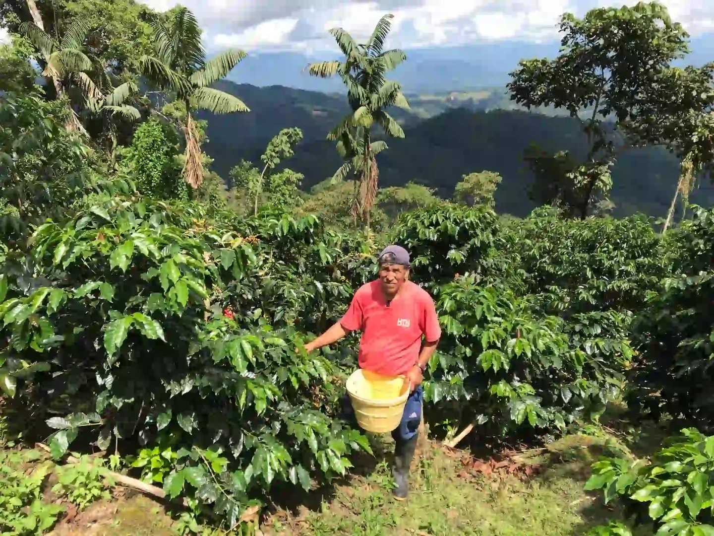 Huánuco: Escasez de recursos hídricos pone en riesgo cultivos