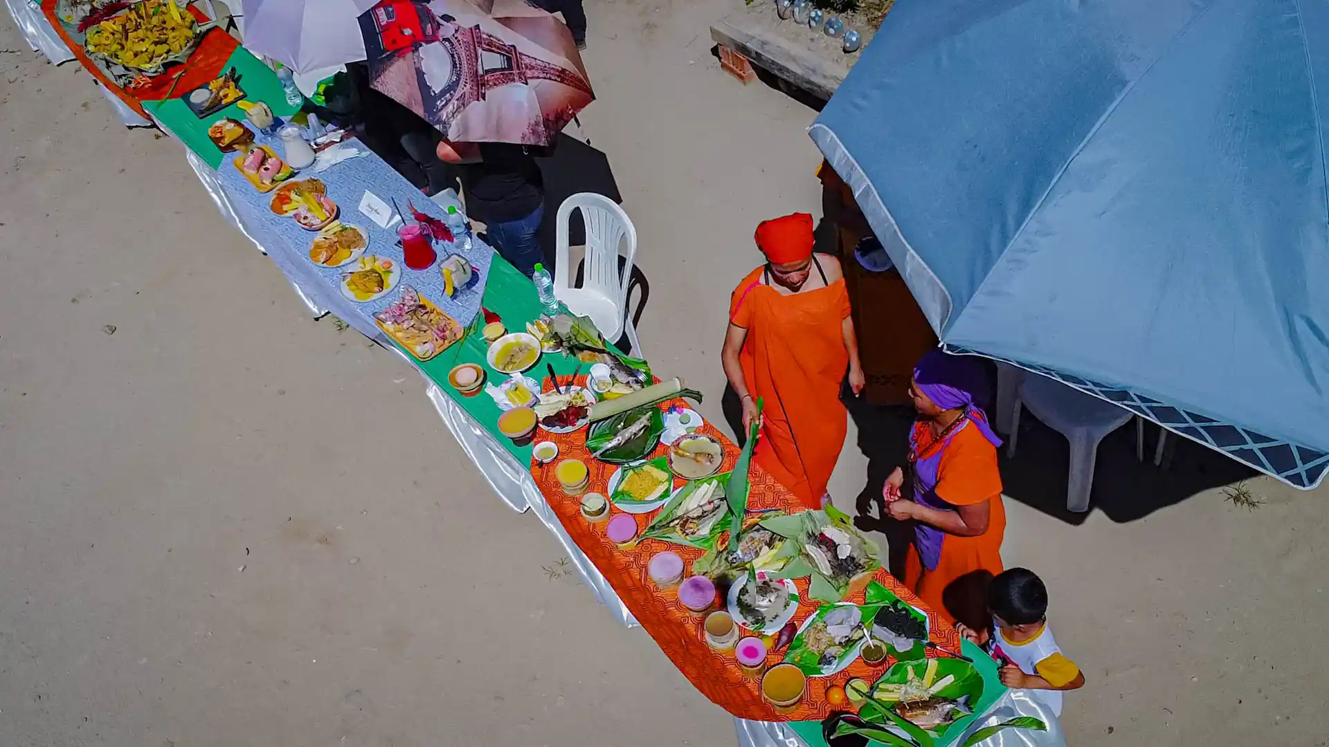 Junín: Mazamari presenta el buffet de peces tropicales más grande del mundo