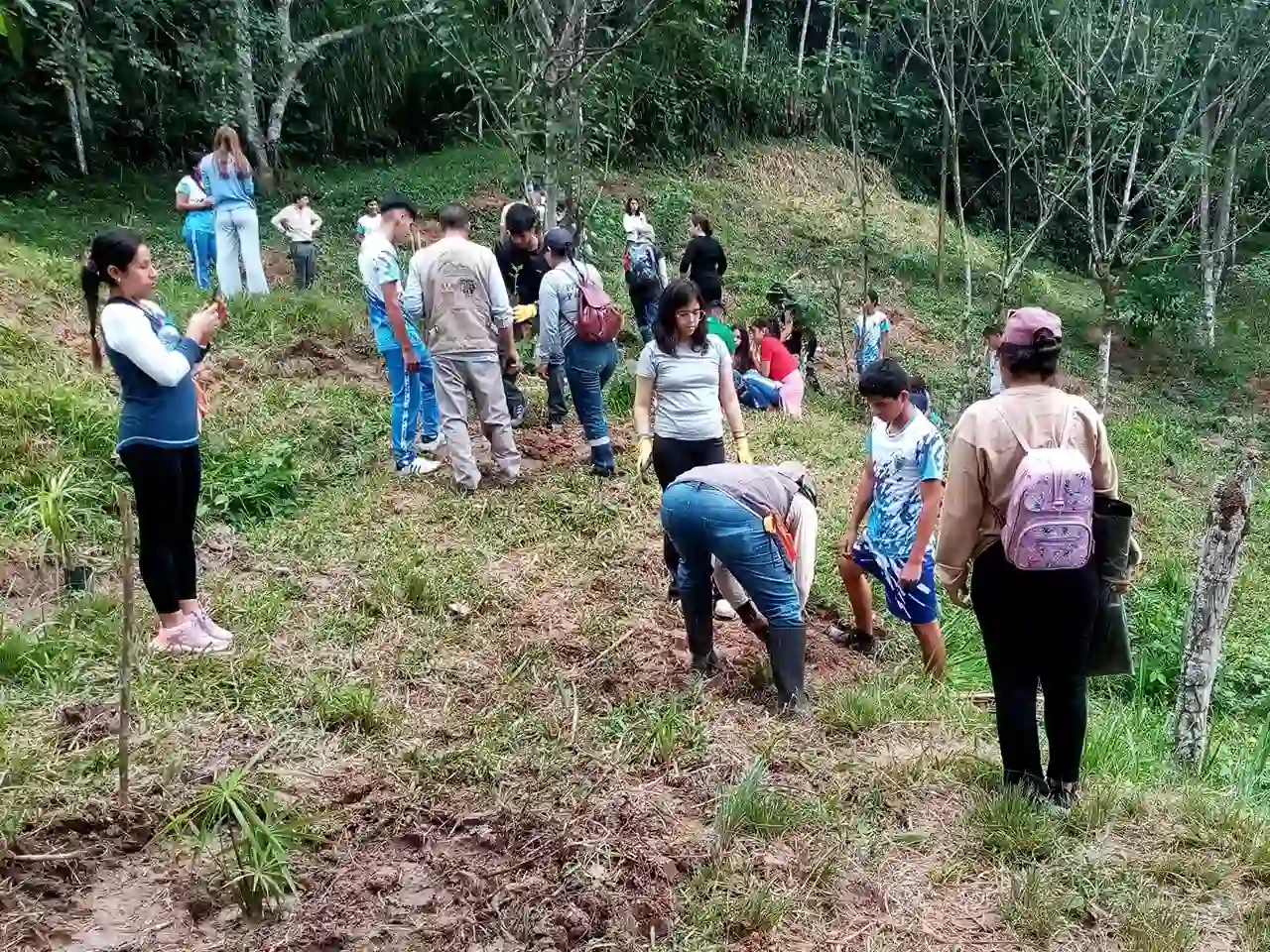 X-Estudiantes-de-Lima-se-suman-a-jornada-de-reforestacion-en-San-Martin-II.webp
