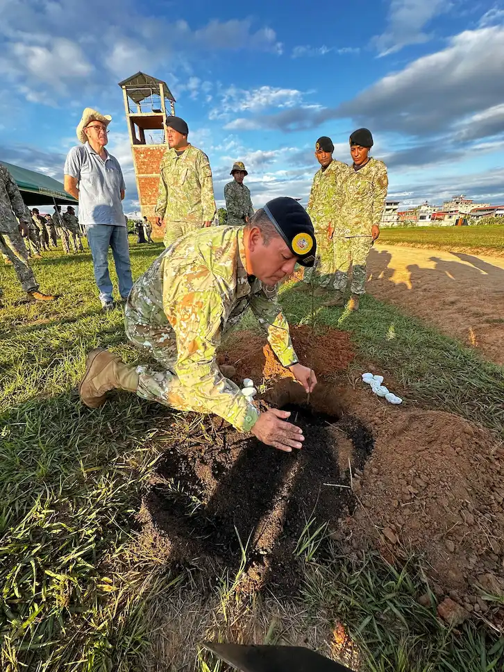 Reviviendo bosques: Iniciativa recupera áreas degradadas por minería ilegal