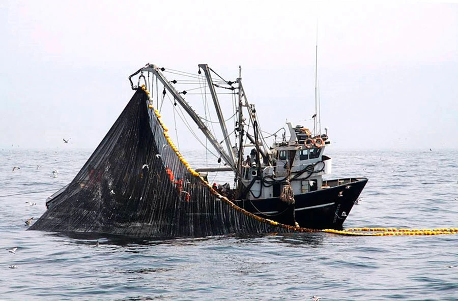 II-PERU-CONTRA-LA-PESCA-ILEGAL--Desafios-y-avances-hacia-la-sostenibilidad-marina.webp