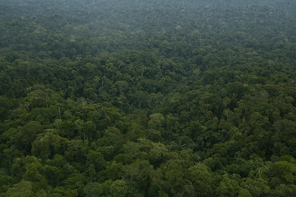 Avanza proceso para el reconocimiento de la Reserva Indígena Atacuari