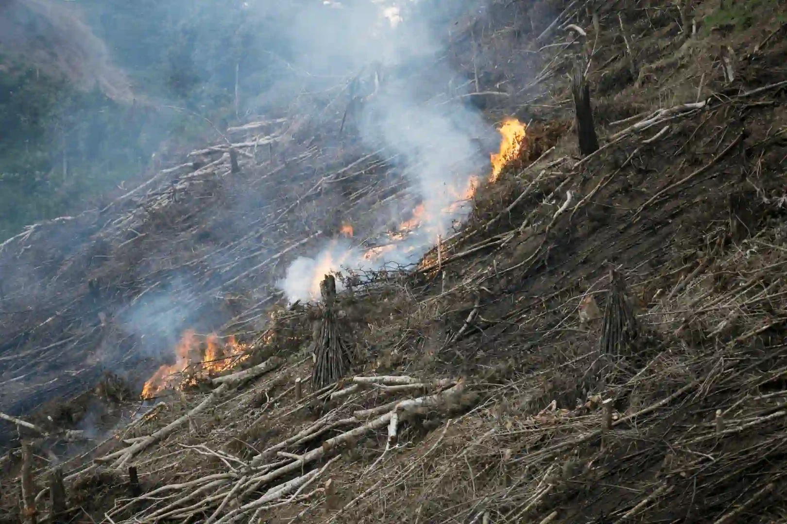 Países amazónicos se reúnen para desarrollar acciones contra incendios forestales