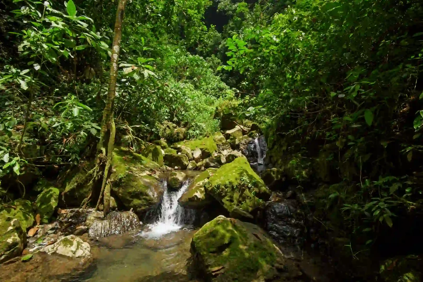 César Navarro, aprender de todo para que la gente pueda vivir en armonía con la naturaleza