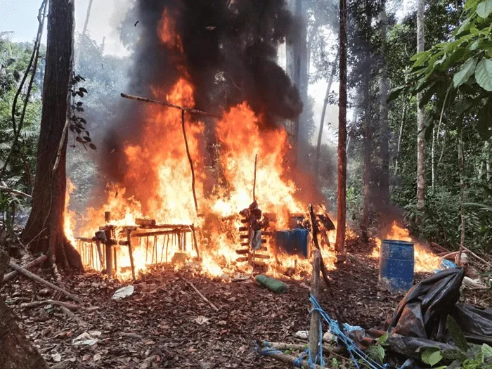 Ucayali: Policías antidrogas destruyen 23 laboratorios de cocaína