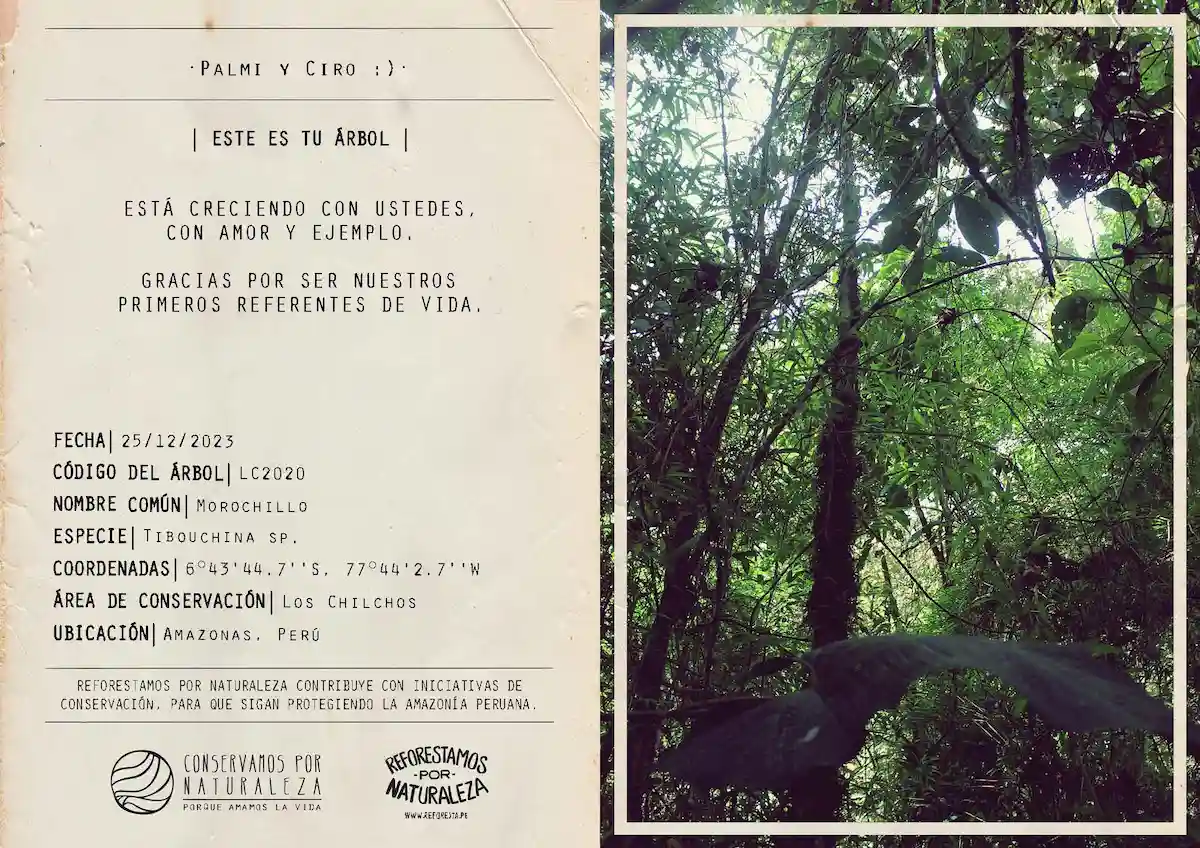 Ejemplo de certificado que te brinda "Reforestamos por Naturaleza" al adoptar un árbol. 