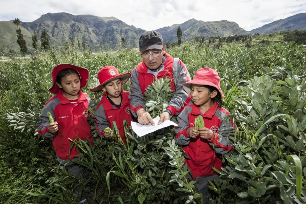 Educación: “Lo que estamos haciendo nunca se había realizado antes en el país”, señaló el presidente del Consejo Nacional de Educación. (Foto: Ministerio de Educación).