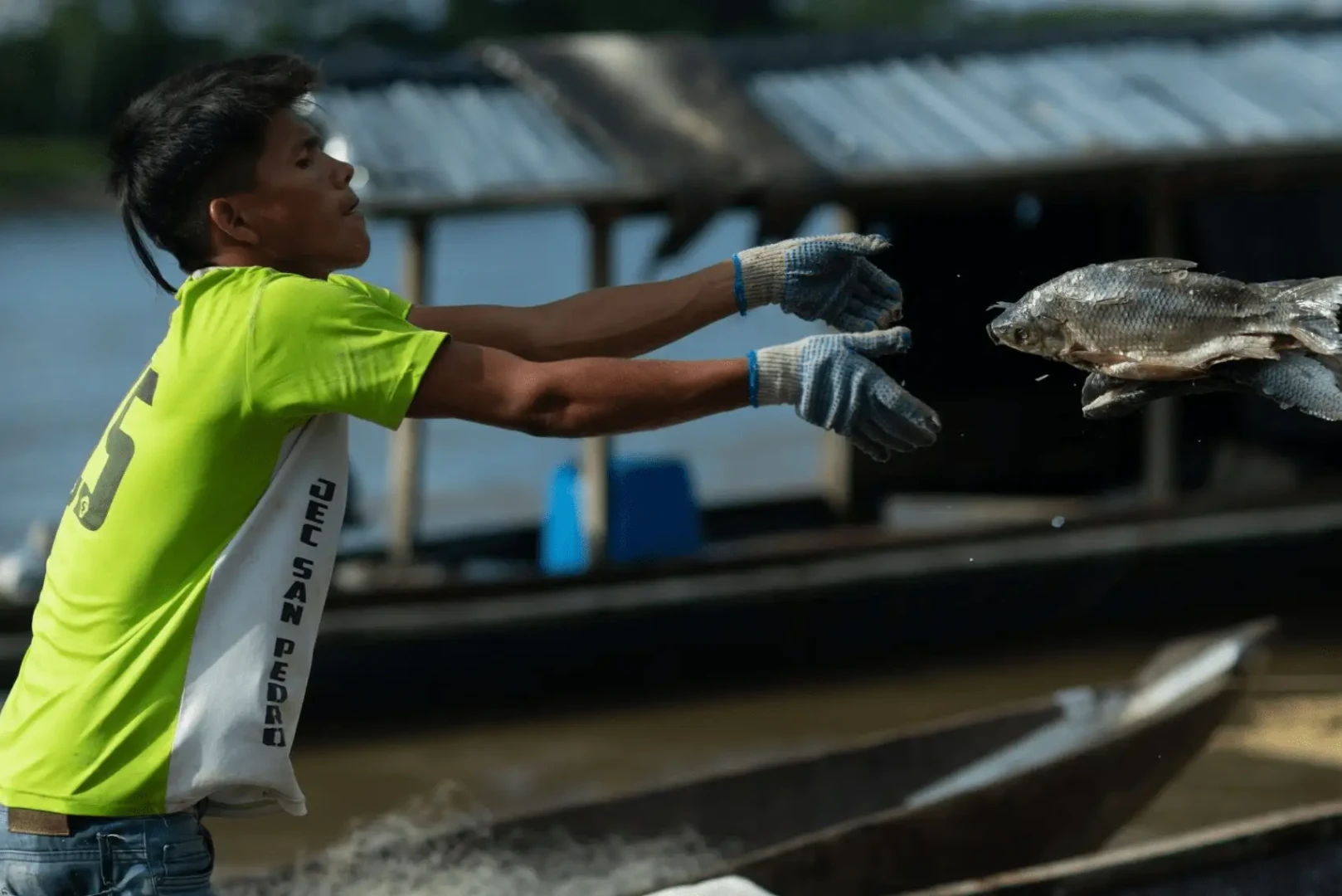 Pesca kandozi: Patrimonio cultural que avanza contracorriente