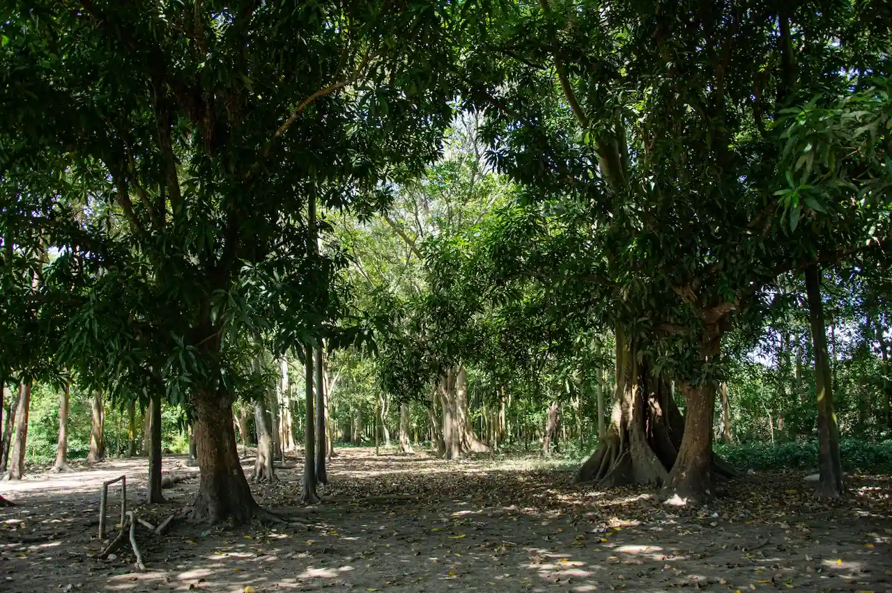 Comunidad nativa San Francisco se posiciona como destino turístico