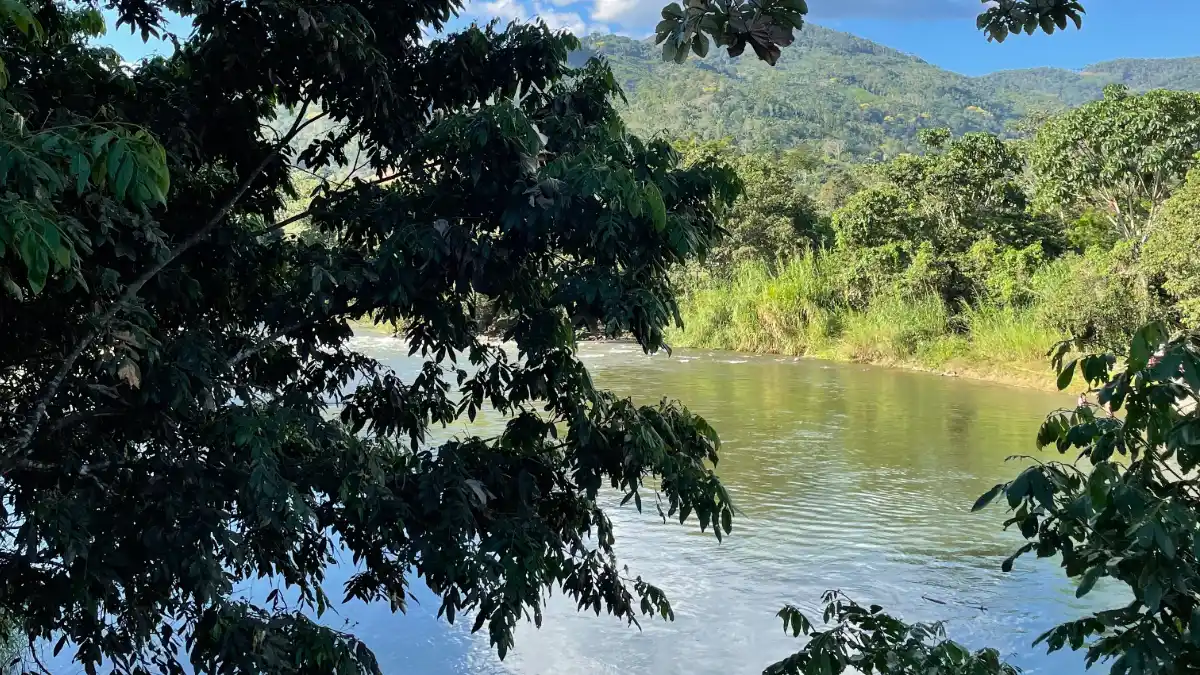 Descubre la magia de la Selva Central en su XIX Semana Turística