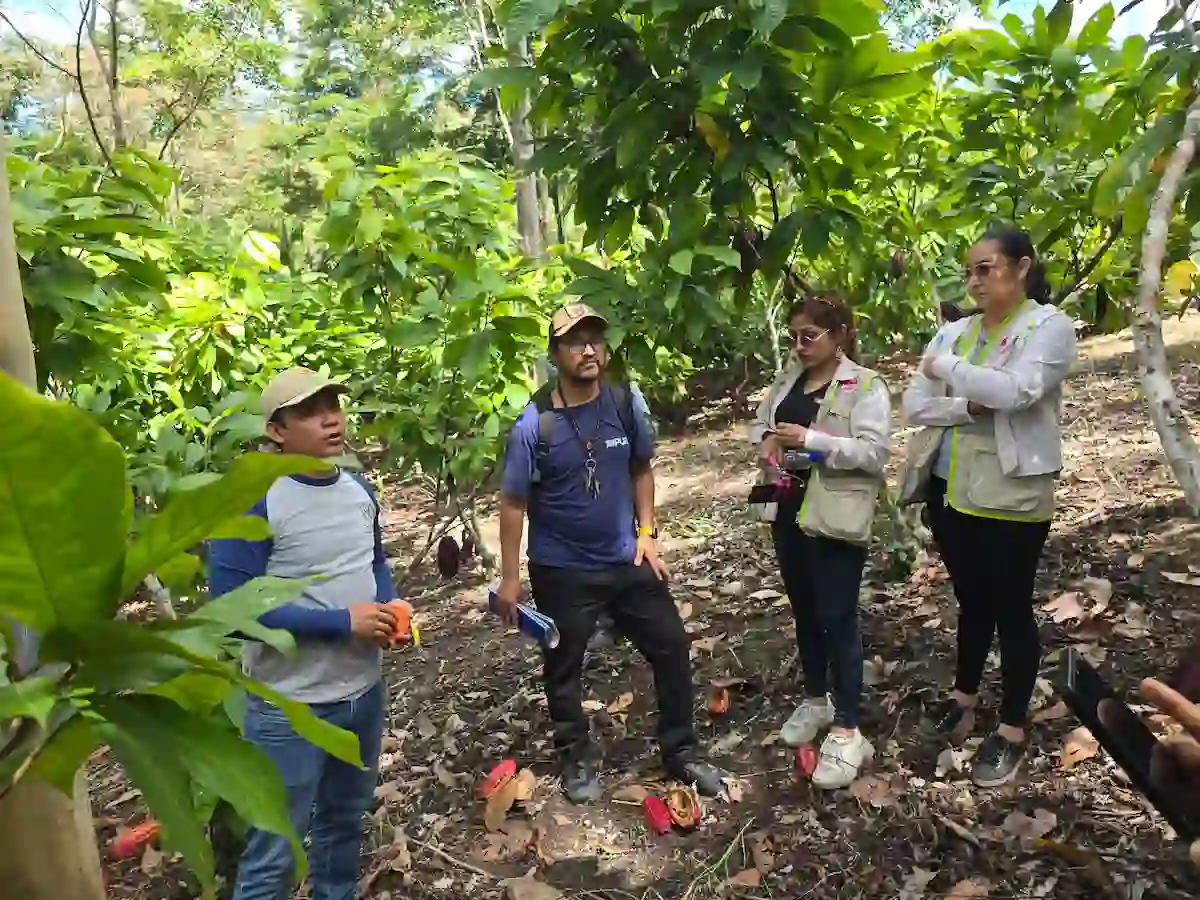 San Martín: Autoridades culminan curso en gestión de proyectos REDD+