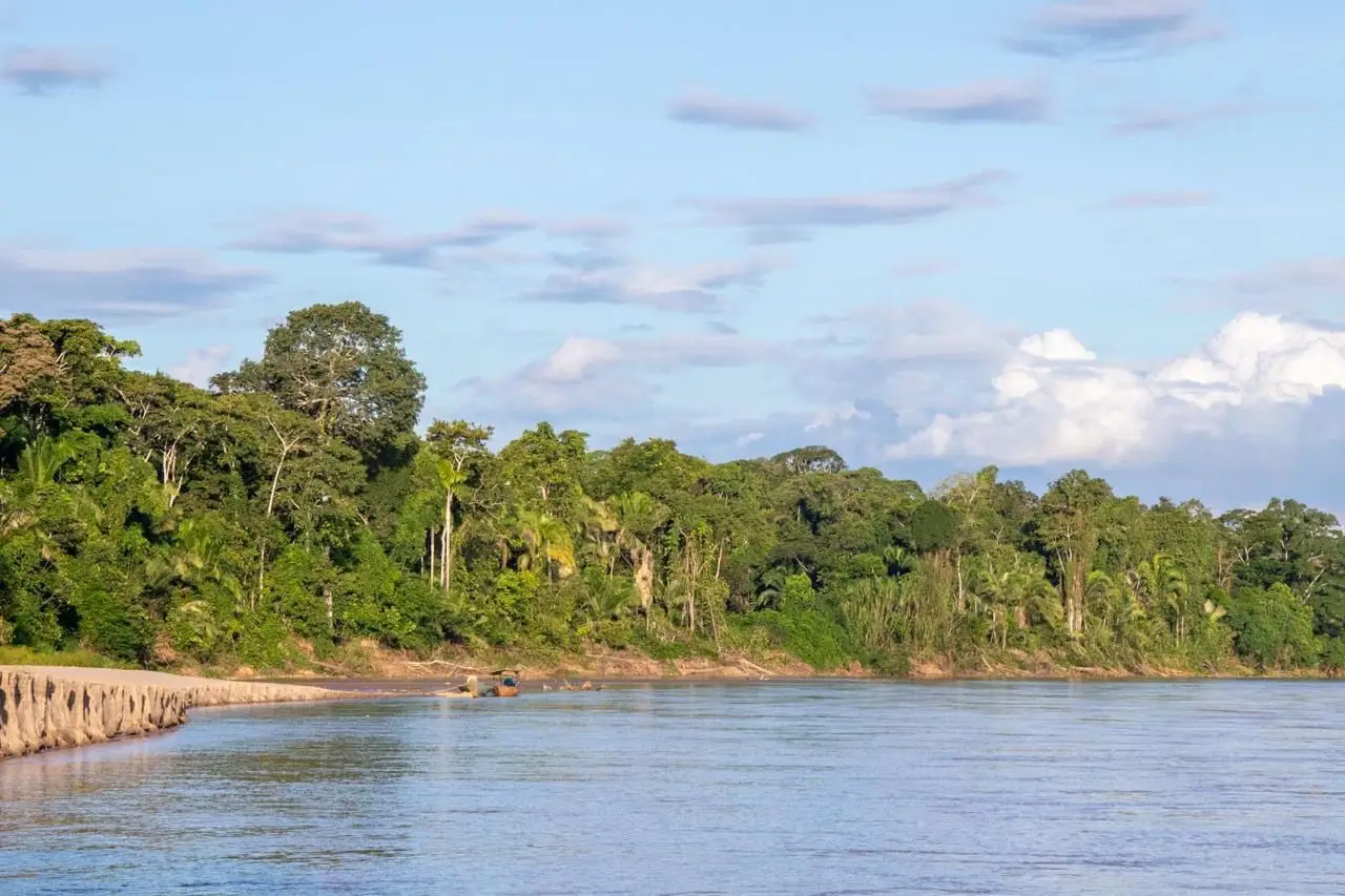A continuación, conoce cinco acciones que contribuyen al cuidado de los Bosques Tropicales. (Foto: Arbio Perú).