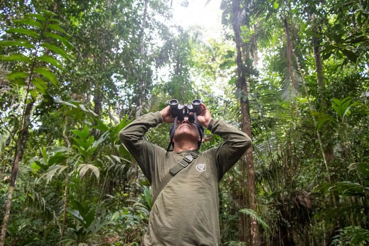 Cinco acciones para proteger a los bosques tropicales