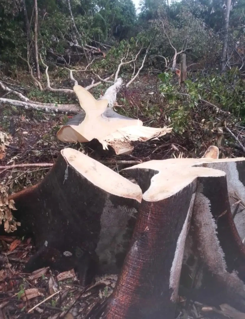 San Martín: Este espacio alberga fauna diversa y suministra agua a 300 000 personas en varias localidades, además de ser esencial para las actividades económicas de las comunidades rurales y nativas. (Foto: Difusión).