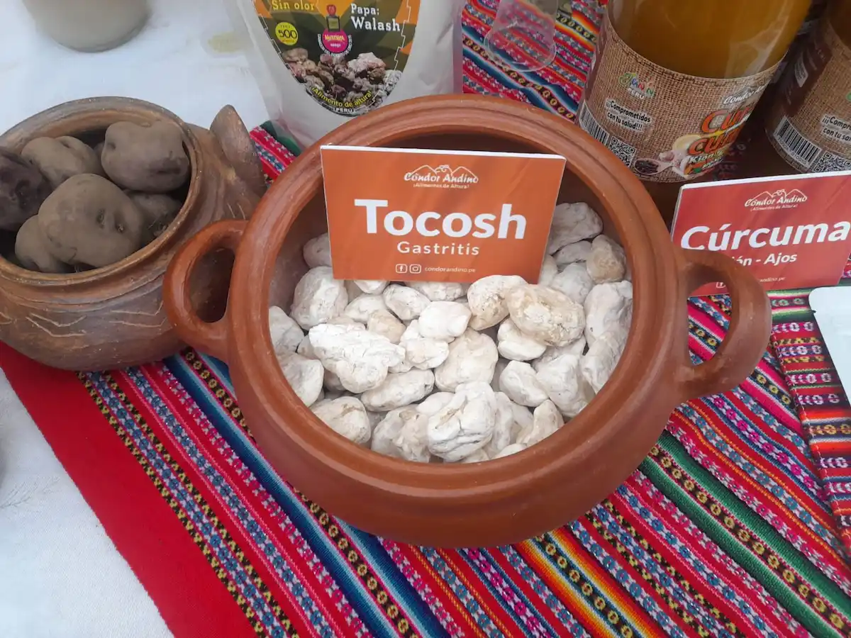 El uso del tocosh como penicilina y sus diversos beneficios