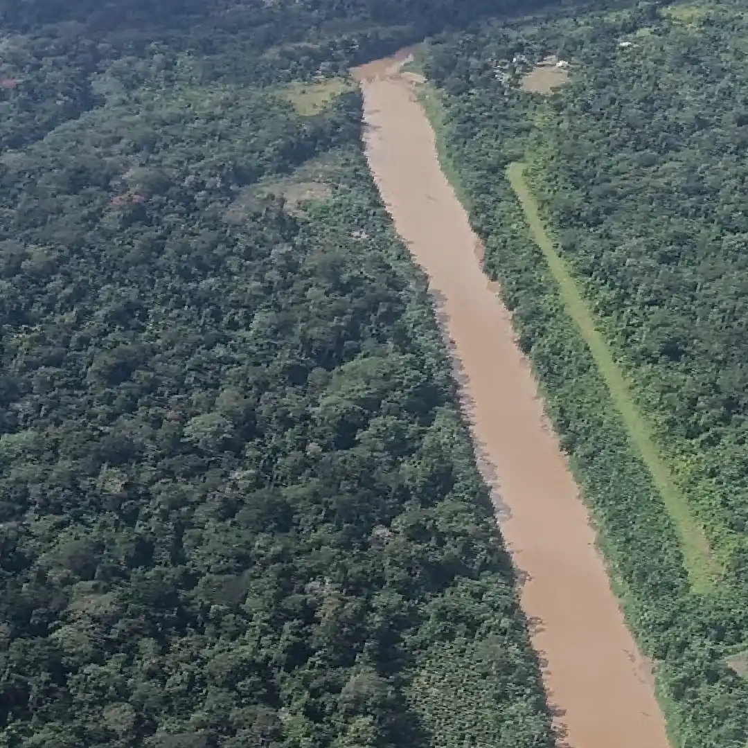 Detectan cultivos de coca y cuatro pistas de aterrizaje clandestinas en Atalaya