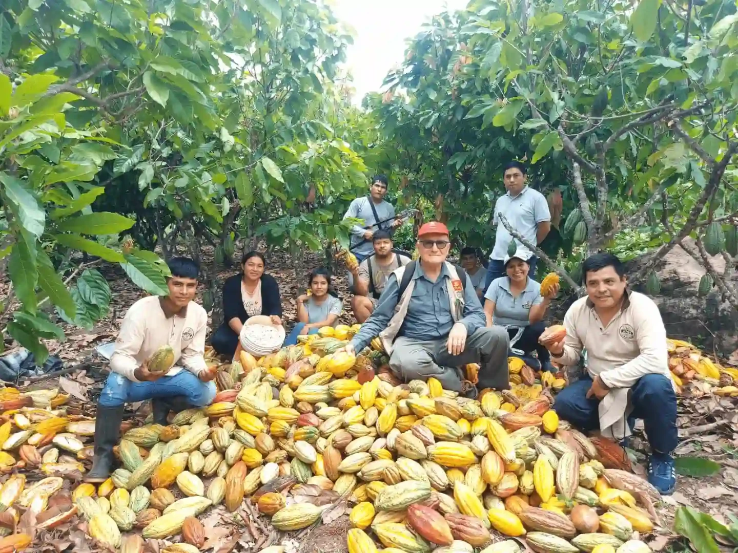 Satipo: Productores del Vraem exportan 150 toneladas de cacao orgánico a Europa