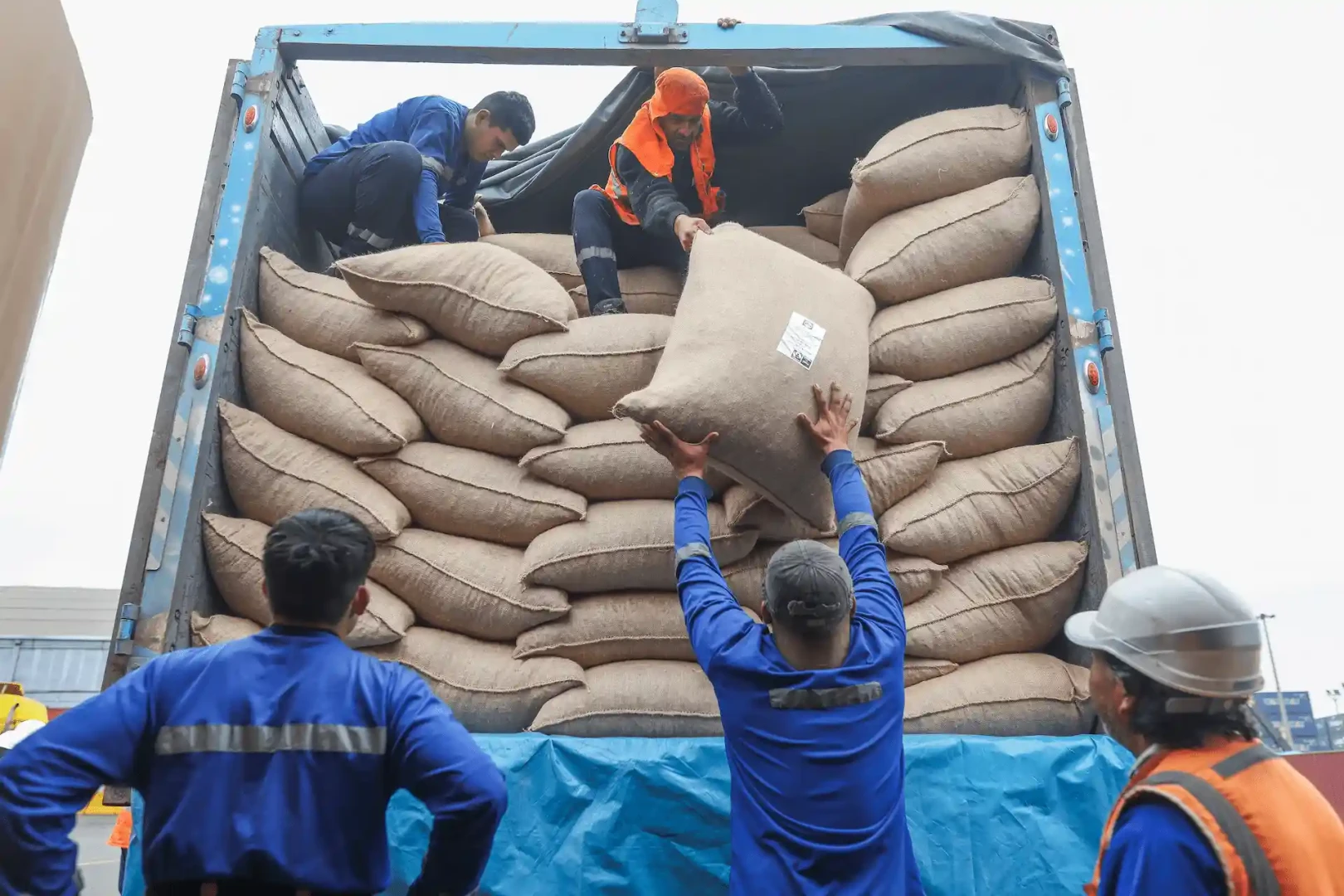 Satipo: Productores del Vraem exportan 150 toneladas de cacao orgánico a Europa