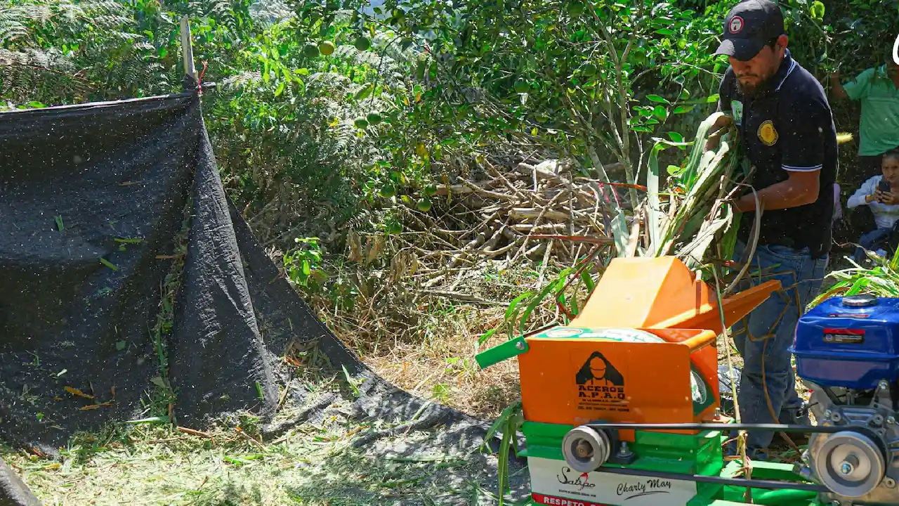 Satipo: 5000 productores se reunirán en Agroconecta 2024