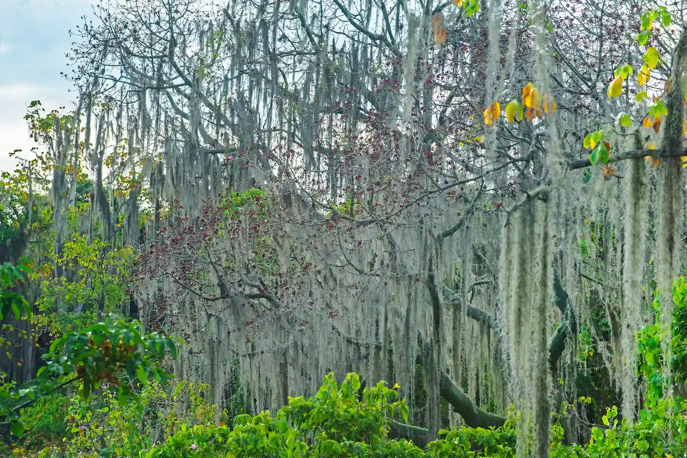 Joselyn Supanta, de Ilo, veinticuatro abriles, quiere cambiar el mundo