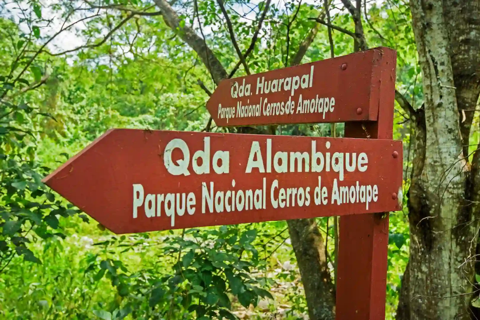 Joselyn Supanta, de Ilo, veinticuatro abriles, quiere cambiar el mundo