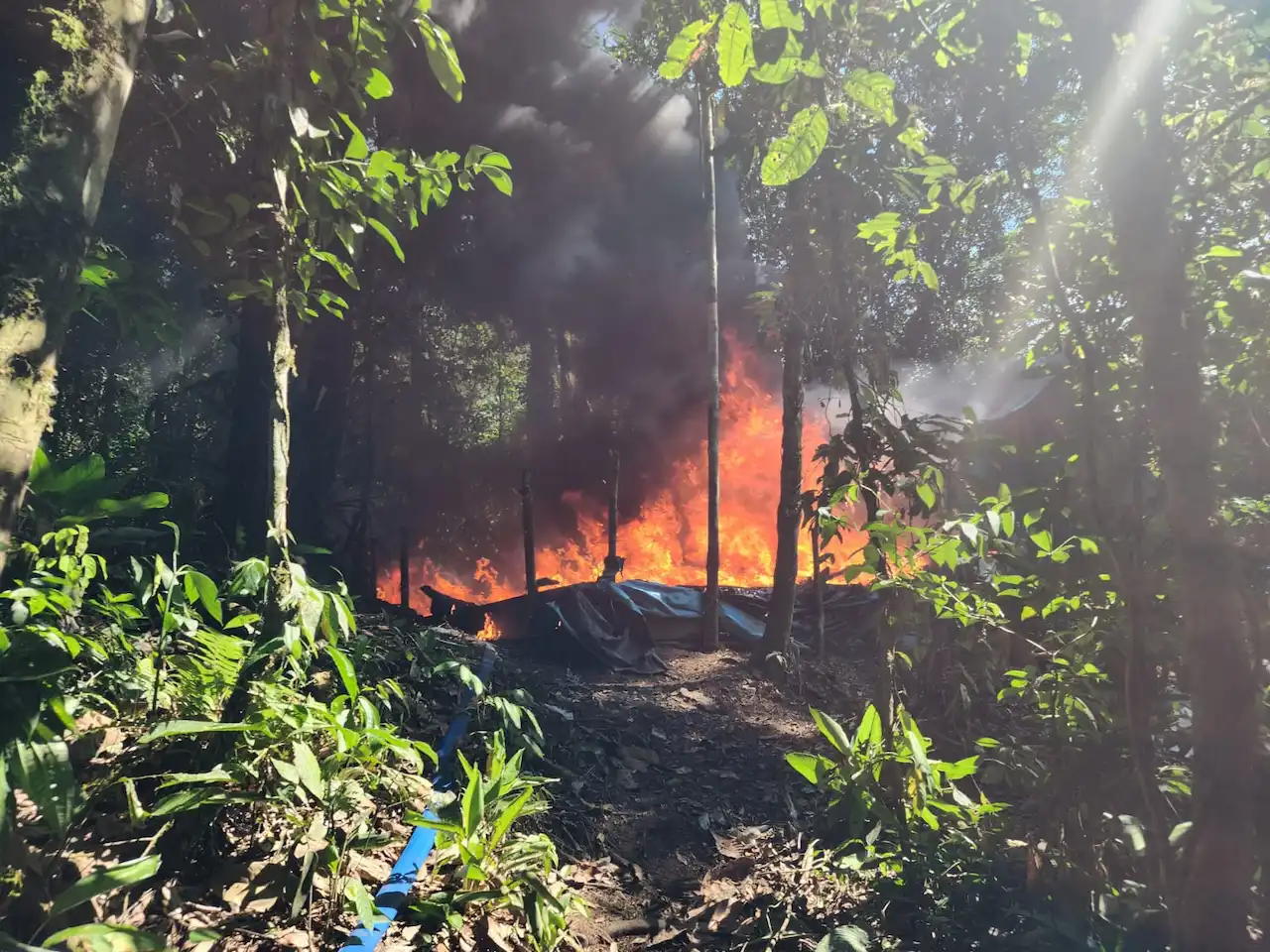 Desmantelan laboratorio y decomisan 28 kilos de cocaína en Huánuco