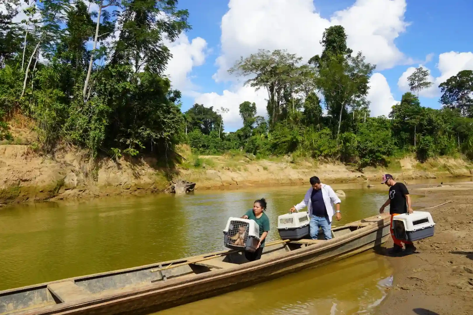 Madre de Dios: Rescatan y liberan 10 animales silvestres en su hábitat natural