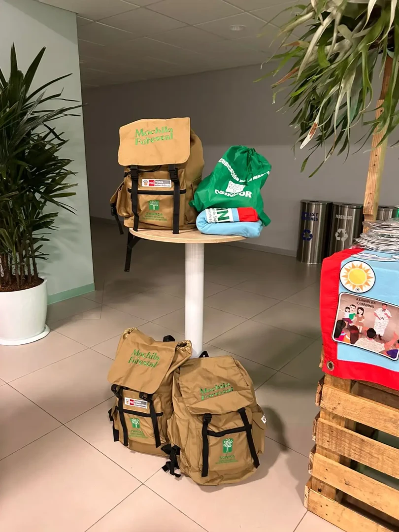 Osinfor supervisará más de 900 000 hectáreas de bosque este año