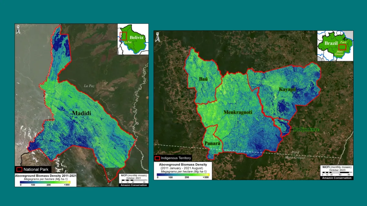 II-AMAZONIA--Estiman-1-400-millones-de-toneladas-de-carbono-en-areas-protegidas-y-territorios-indigenas-II.webp