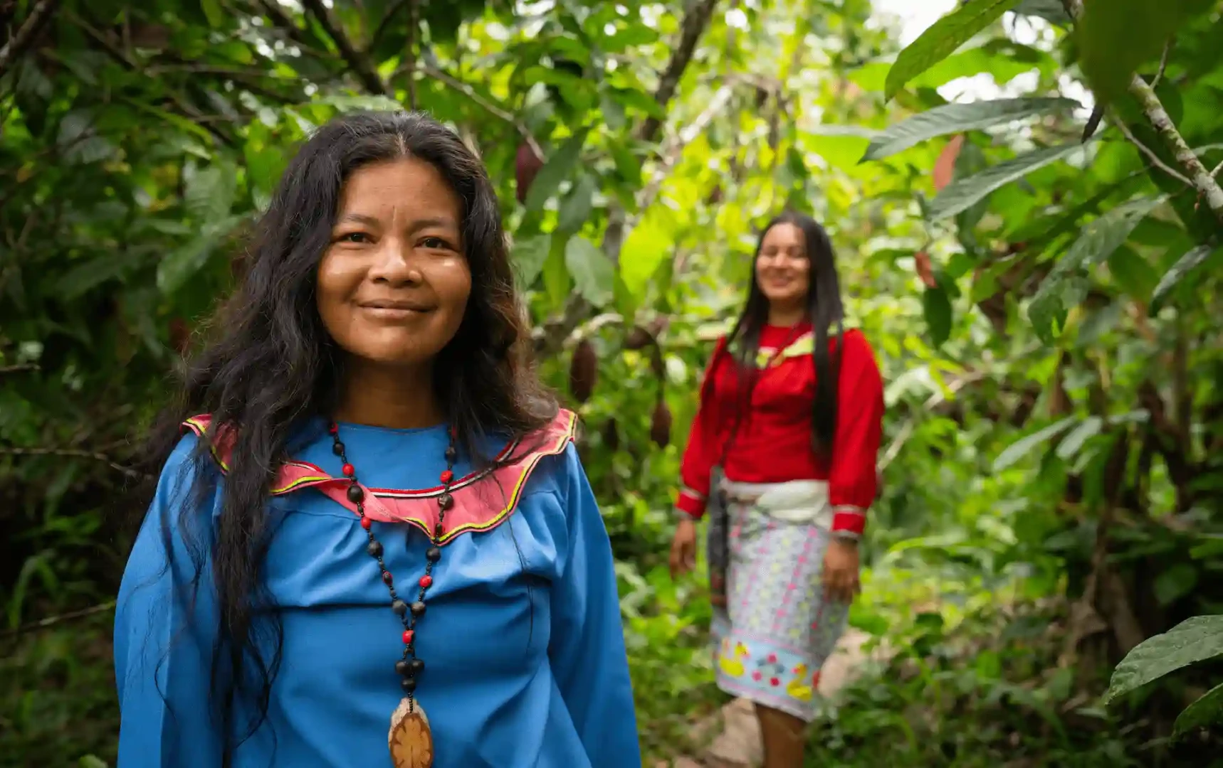 Mujeres indígenas restauran especies forestales nativas para conservar el Parque Nacional Cordillera Azul