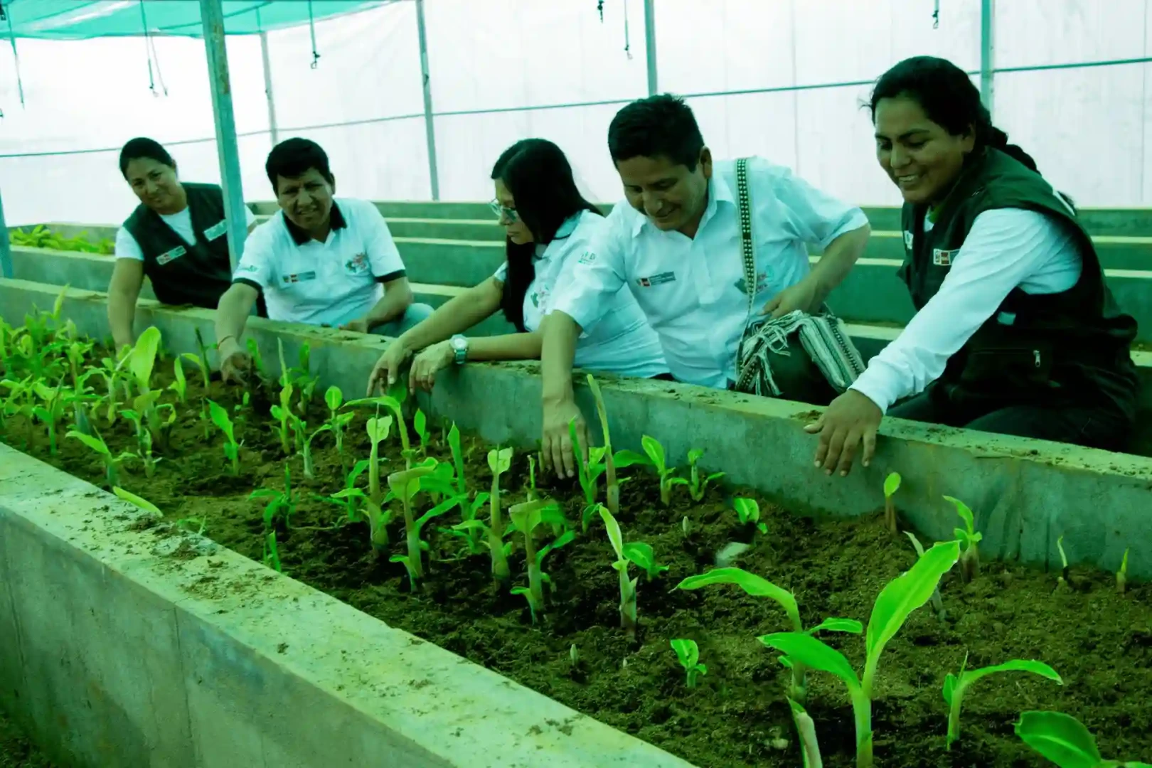 Joyer Bastidas: “Provraem destina el 70% de su inversión en la provincia de Satipo”