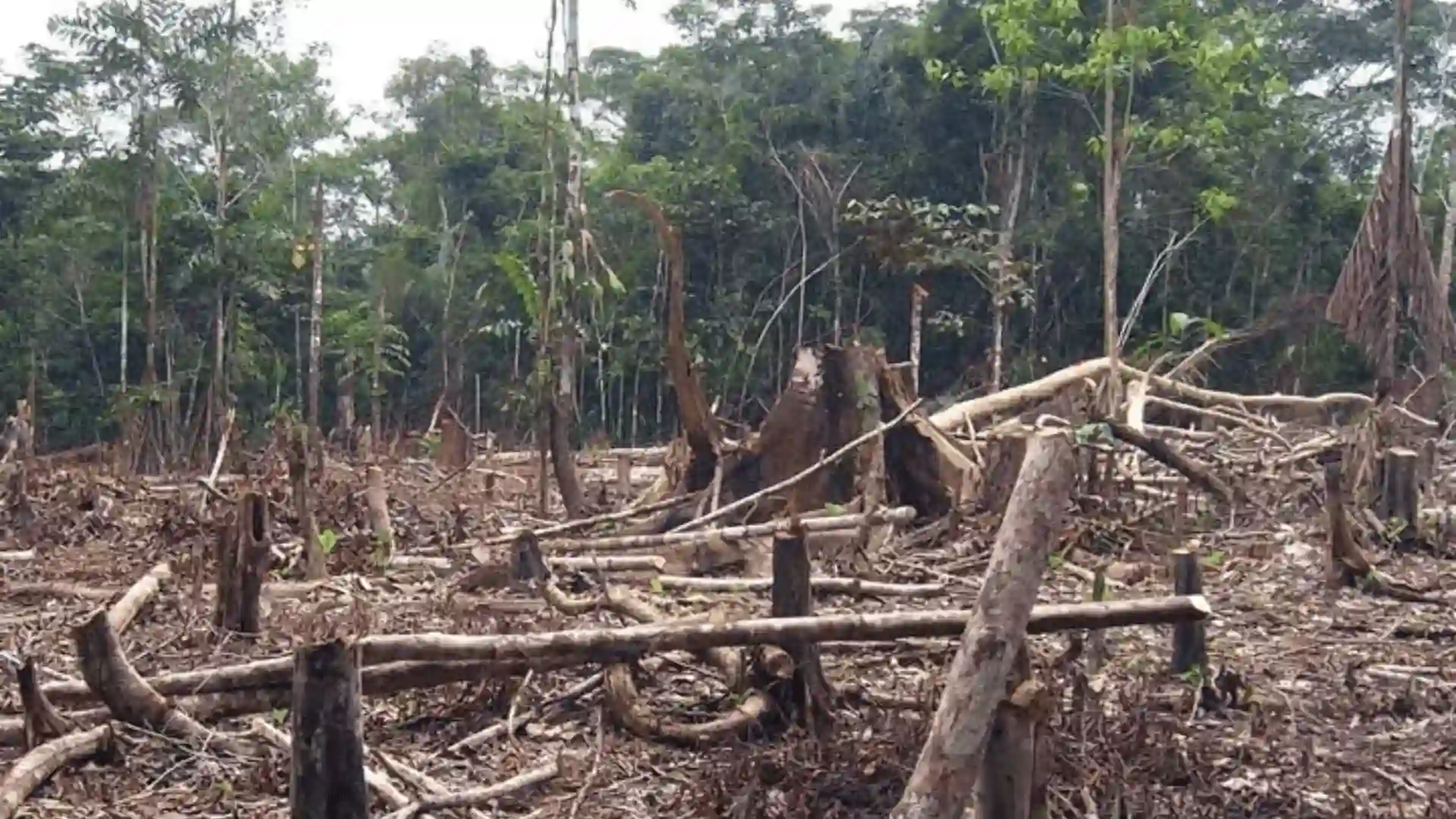 Ricardo Valdés: “Esto significa impunidad total en favor de las organizaciones criminales”
