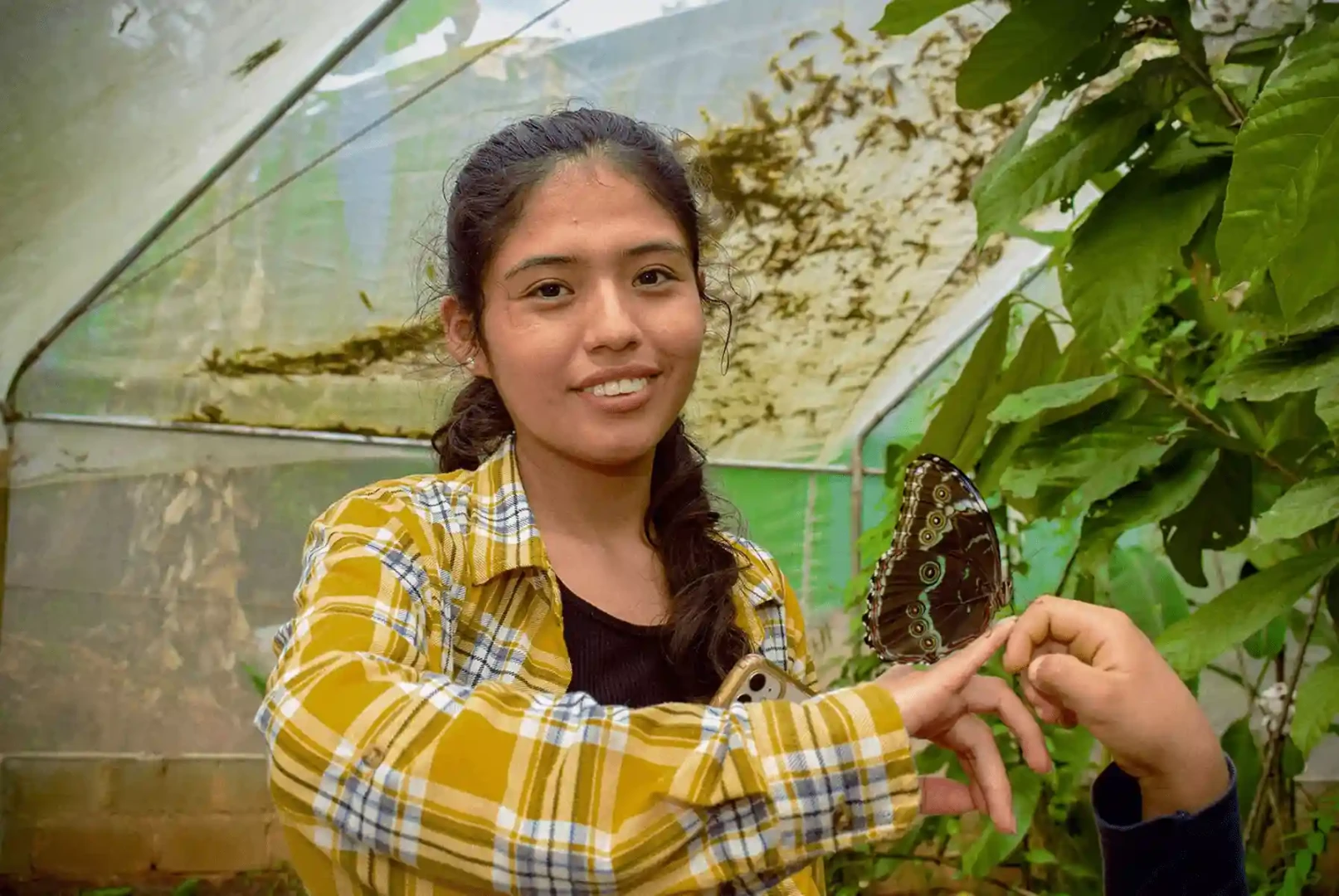 Mariposario Satipo: Un econegocio dedicado a la investigación y conservación de mariposas
