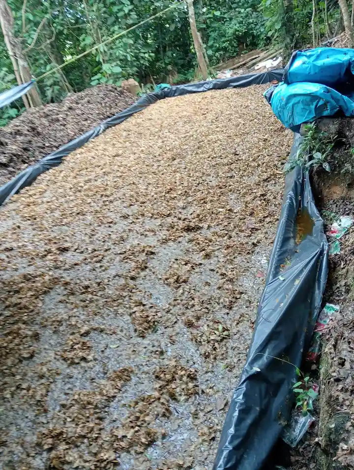 Huánuco: Policías descubren laboratorio de drogas en Yanajanca