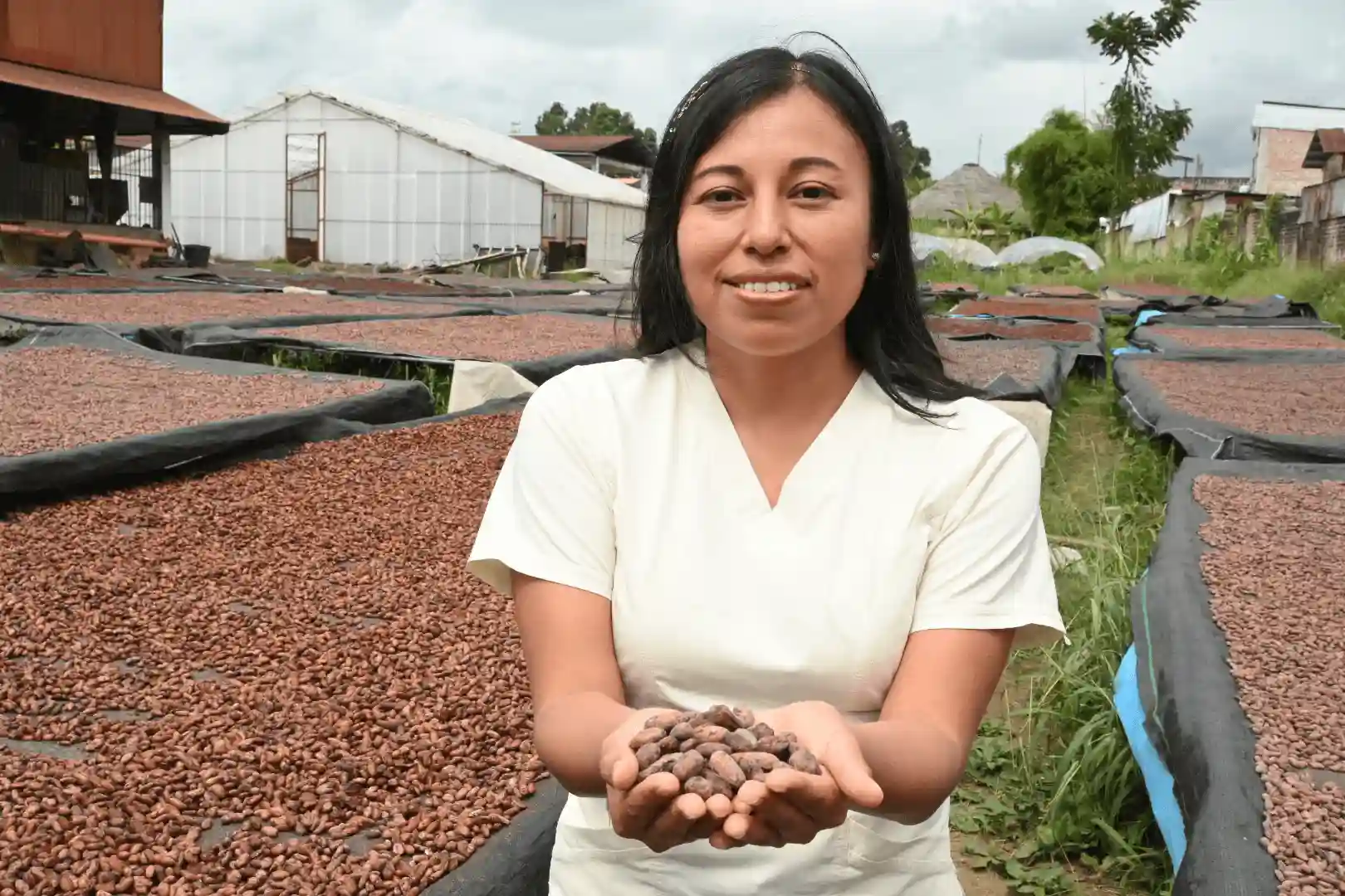 Chocolates con sangrecita combaten la anemia en Satipo