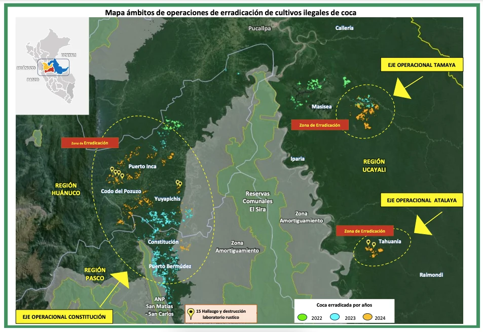 I-Erradican-mas-de-9-000-hectareas-de-cultivos-ilegales-de-hoja-de-coca-en-2024.webp