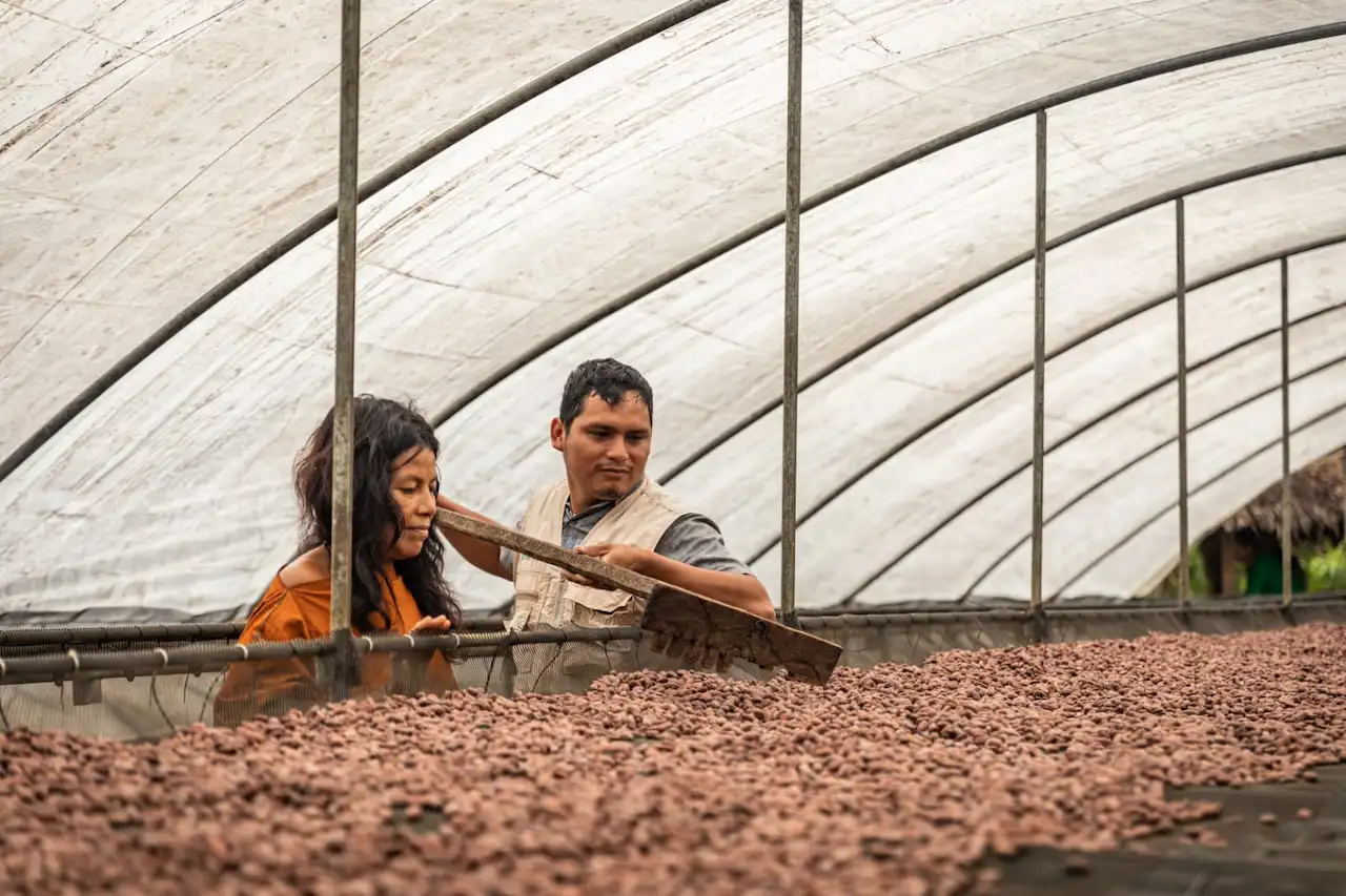 Kemito Sankori: Cacao asháninka y el sabor de un buen chocolate