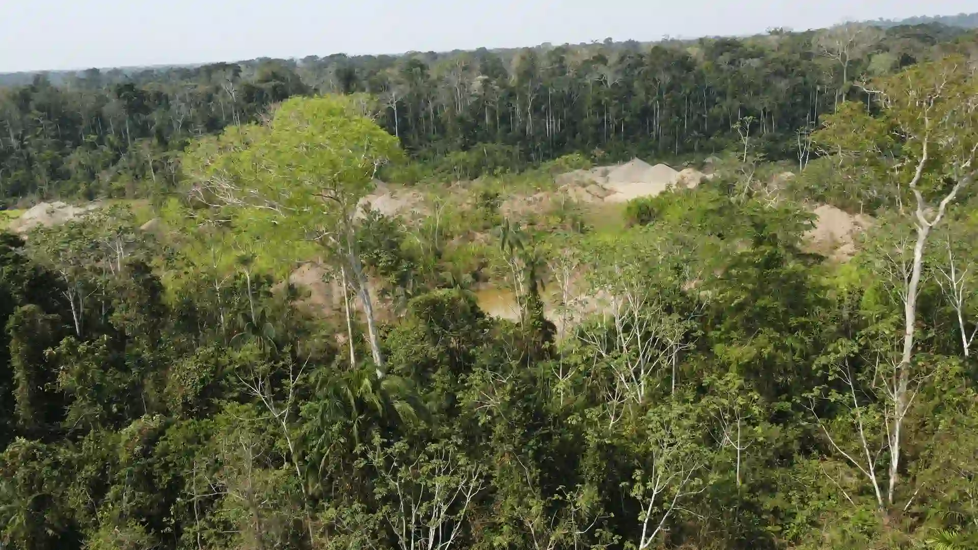 Madre de Dios: Agresiones y violencia en proceso de formalización de la minería