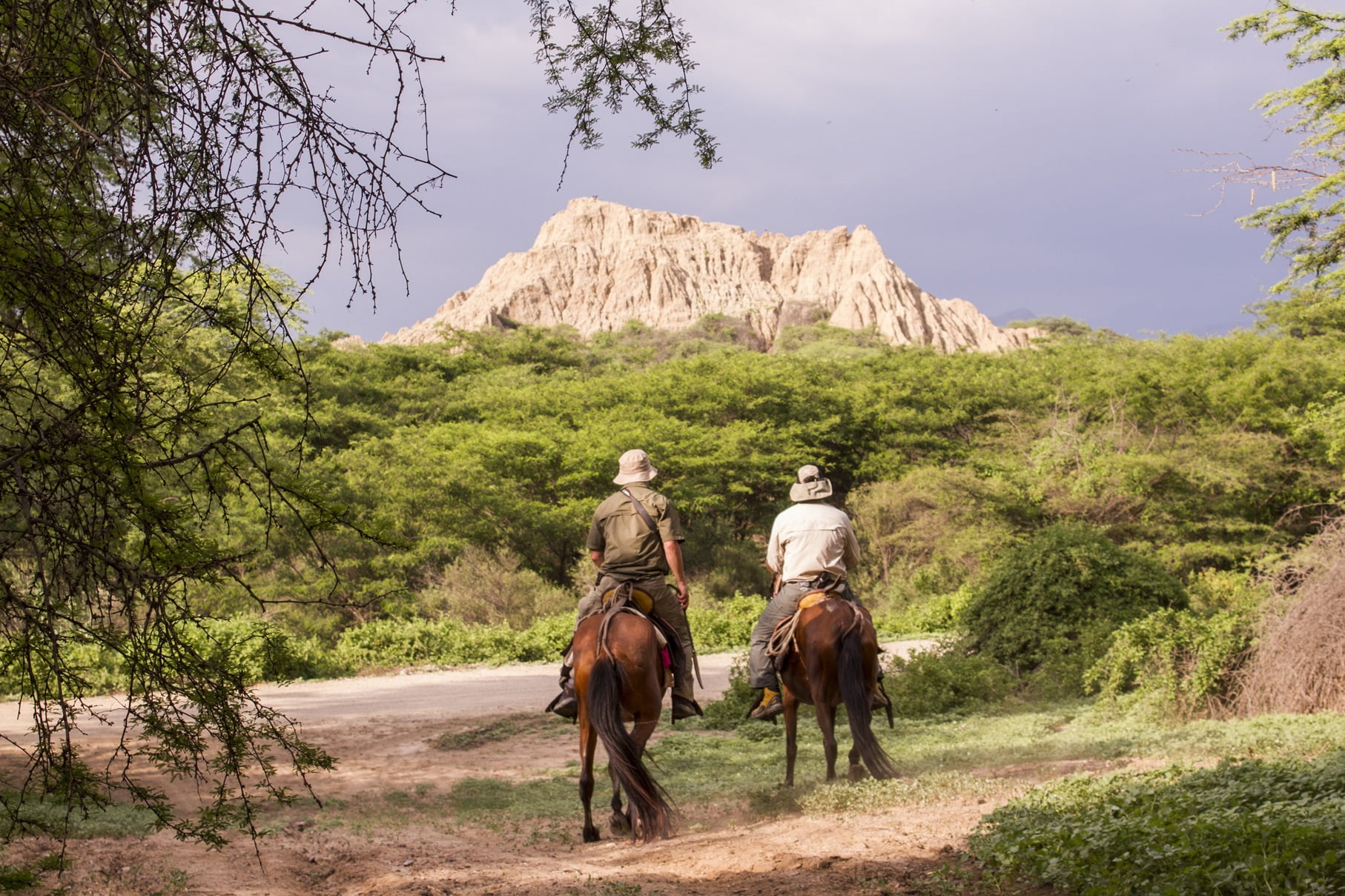 Fiestas Patrias: 2x1 para ingreso a las ANP