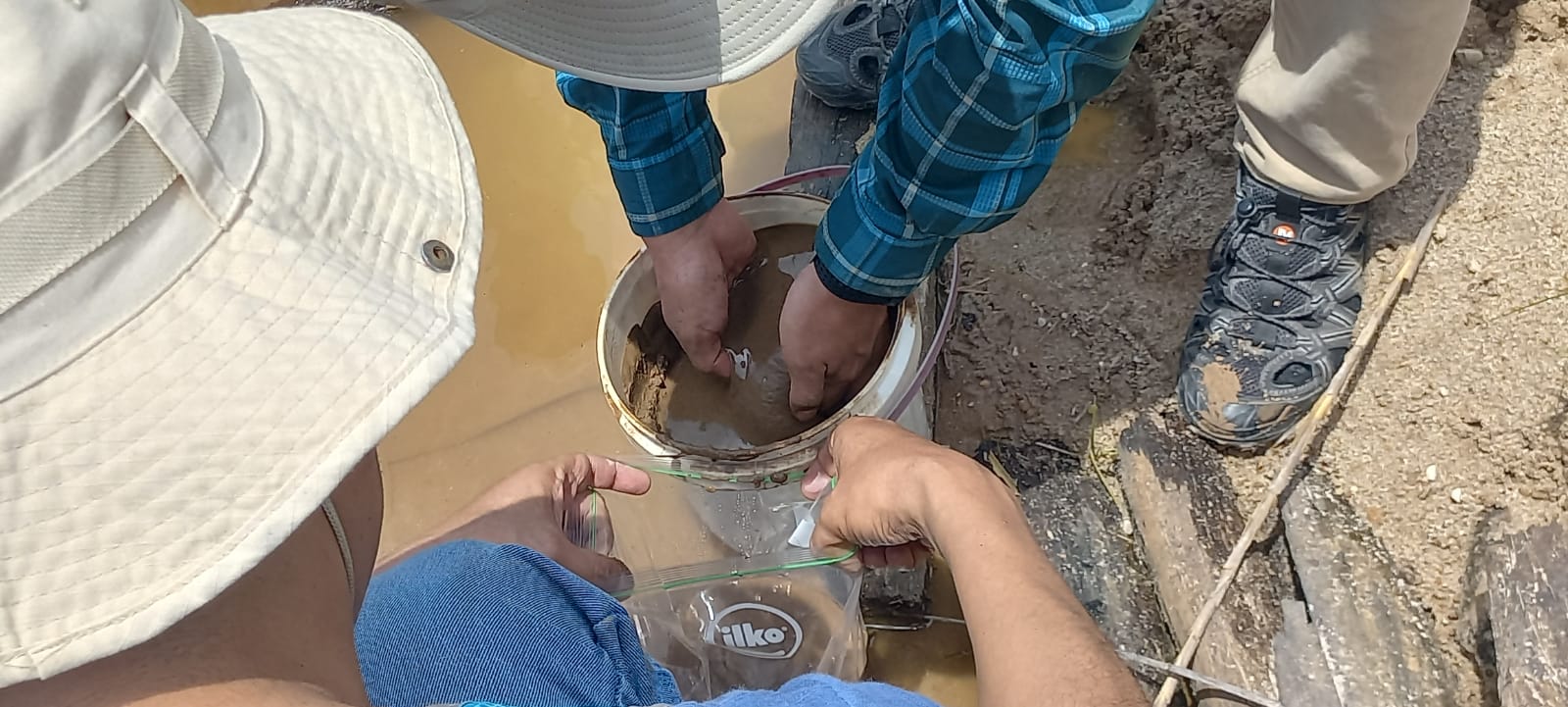 Método aprovecha zonas deforestadas por minería artesanal para fomentar reforestación