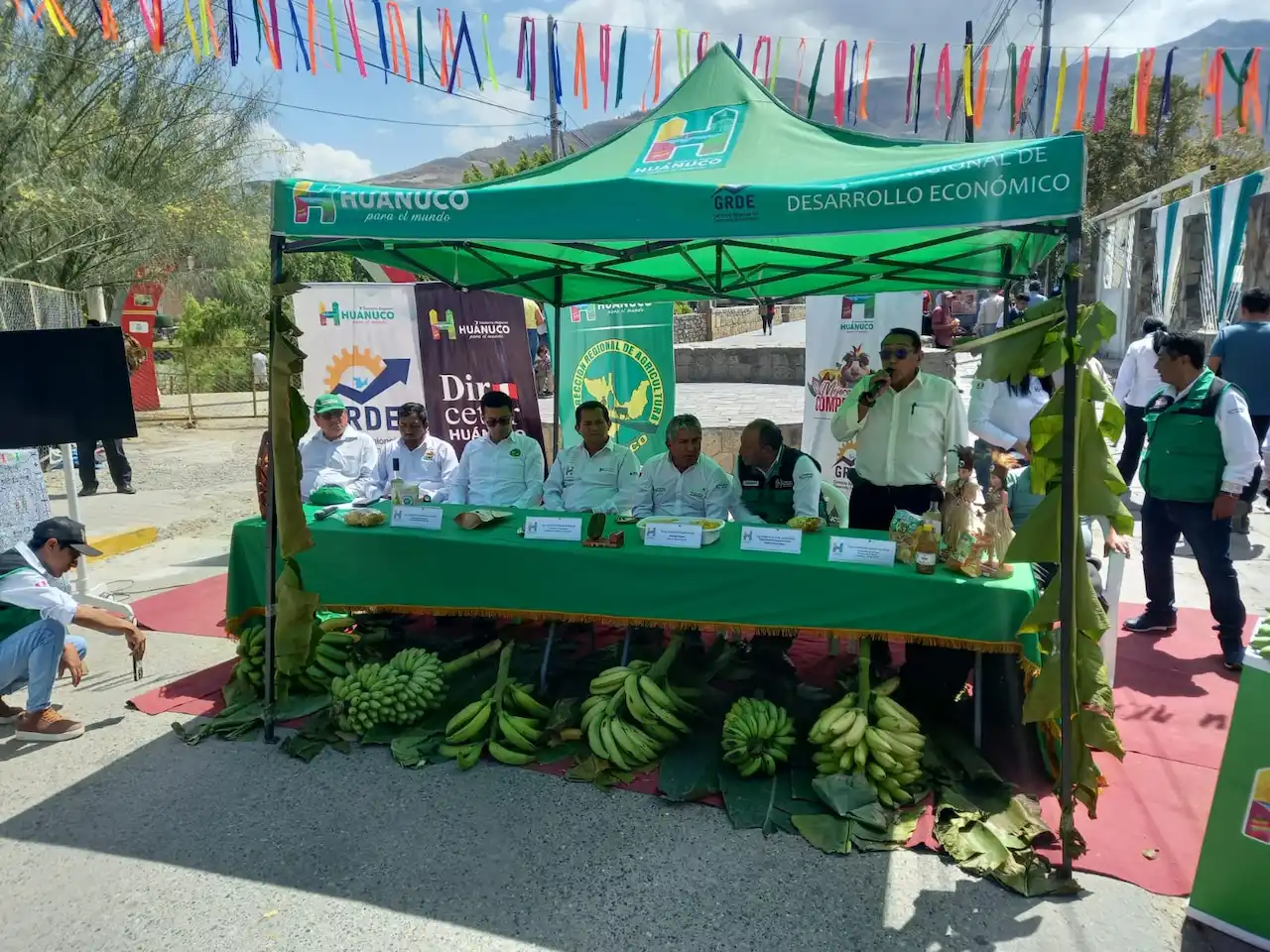 Huánuco exportará US $1.5 millones de plátano este año