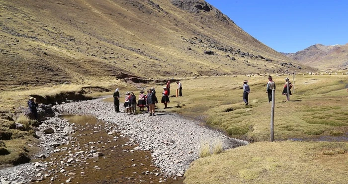 Cusco. Esta iniciativa ha generado nuevos ingresos para las familias, especialmente para mujeres y jóvenes, revitalizando una especie que estaba en peligro de caer en el olvido. (Foto: Ministerio del Ambiente)
