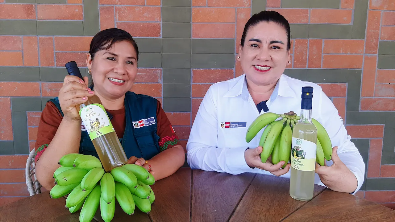 Presentan innovador licor de plátano isla y baby banano