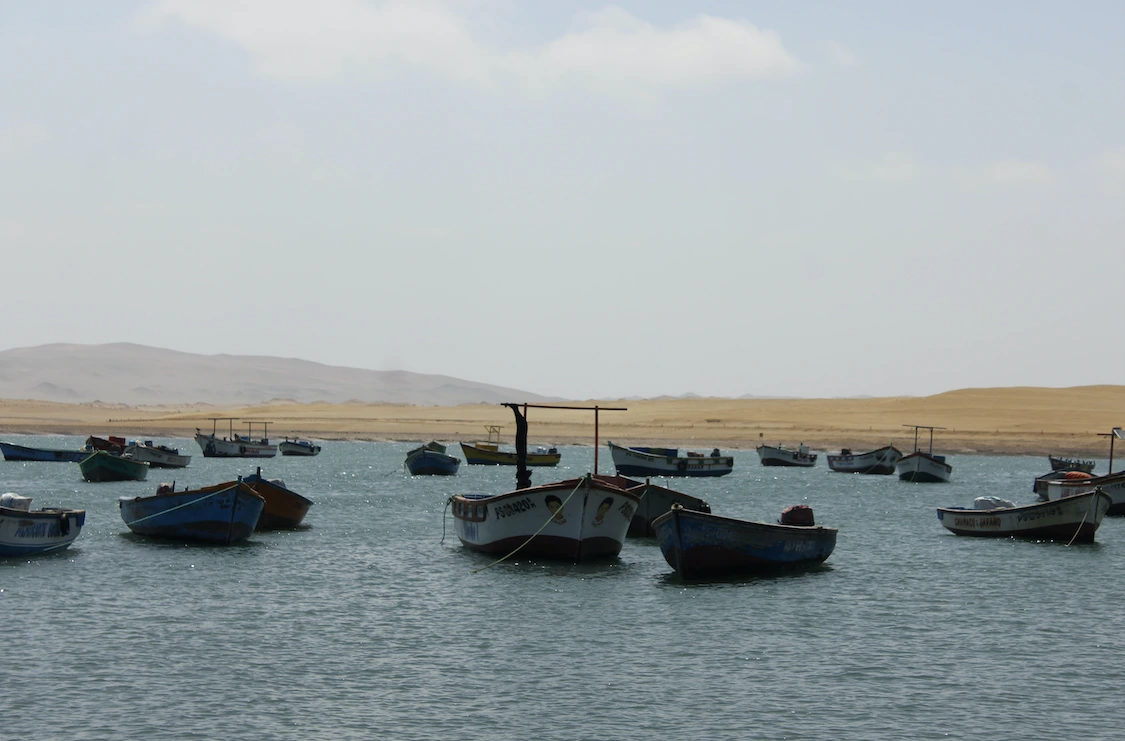 III-Pescadores-artesanales-rechazan-la-pesca-industrial-en-la-Reserva-Nacional-de-Paracas.webp