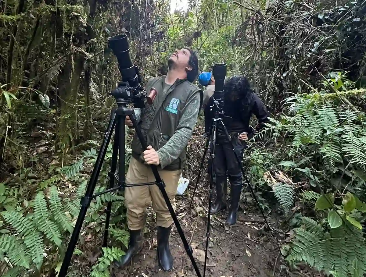 Se está considerando a Junín como lugar de grabación para el cortometraje documental del mono choro de cola amarilla. Foto: Gerson Ferrer