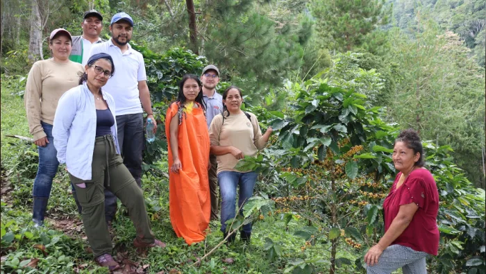 19 organizaciones cafetaleras son las protagonistas de Festival Yo Tomo Café Peruano