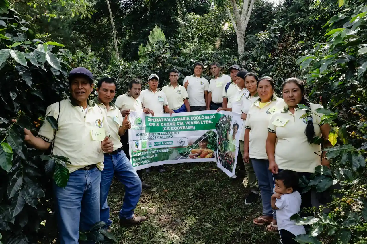 19 organizaciones cafetaleras son las protagonistas de Festival Yo Tomo Café Peruano