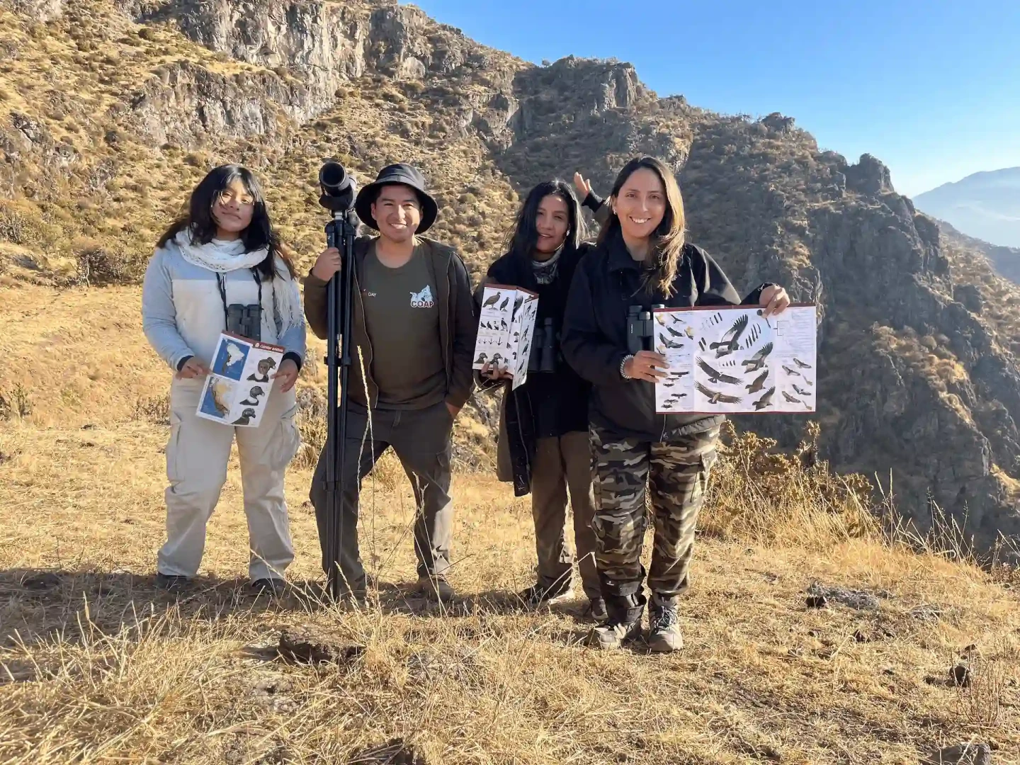 Alerta por el Cóndor Andino: 301 individuos sobreviven en el Perú