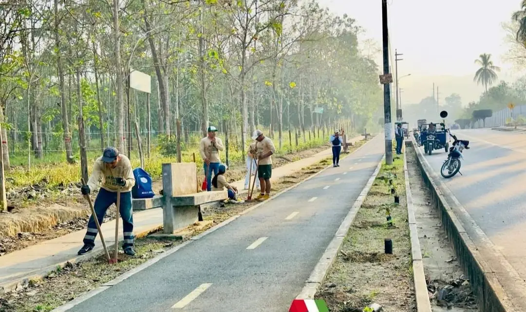 San Martín: Siembran 410 plantones en la ciclovía Virgen Dolorosa